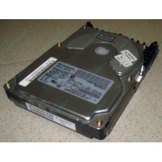 Жесткий диск 18.4Gb Quantum Atlas 10K III U160 SCSI (Ковров)