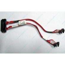 SATA-кабель для корзины HDD HP 451782-001 459190-001 для HP ML310 G5 (Ковров)