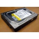 Жесткий диск 160Gb WD WD1602ABKS SATA (Ковров)