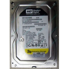 Жесткий диск 160Gb WD WD1602ABKS SATA (Ковров)