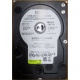 Б/У жёсткий диск 400Gb WD WD4000YR Caviar RE2 7200 rpm SATA  (Ковров)