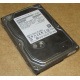HDD 500Gb Hitachi HDS721050DLE630 донор на запчасти (Ковров)
