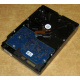 Электроника HDD 500Gb Hitachi HDS721050DLE630 (Ковров)