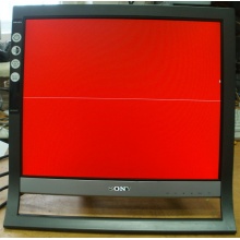 Монитор 17" TFT Sony SDM-HS75 (Ковров)