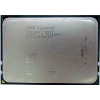AMD Opteron 6128 OS6128WKT8EGO (Ковров)