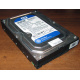Жесткий диск 500Gb WD WD5000AAKX HP 634605-003 613208-001 7.2k SATA (Ковров)