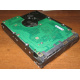 Жесткий диск 300Gb 15k Seagate Cheetach ST3300656SS 15K.6 Dell 9CH066-050 6G SAS (Ковров)