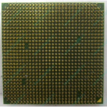 Процессор AMD Sempron 3000+ (1.6GHz) SDA3000IAA3CN s.AM2 (Ковров)
